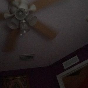 Meet your Posher, Daisy